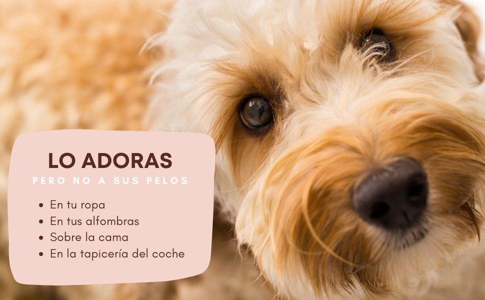 Combo Esfera Quita pelos + Alimentador de Mascotas®